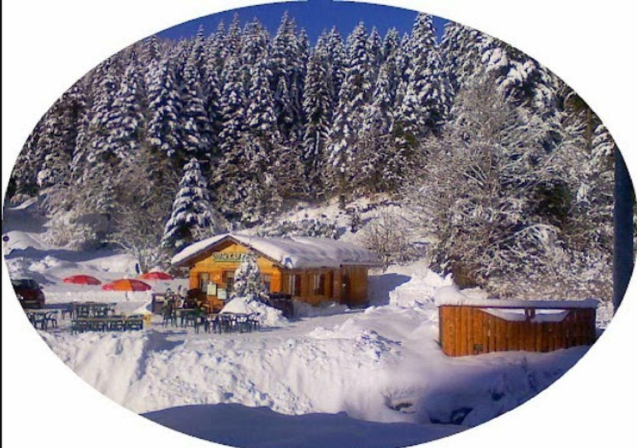 L'ourson Rider Appartement La Bresse